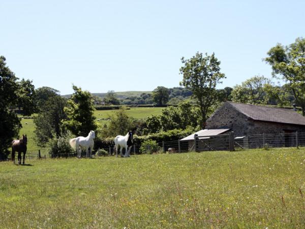The Shippon Villa Conwy Luaran gambar
